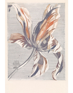 Панно и фотообои Eijffinger Wallpower Favourites 309031
