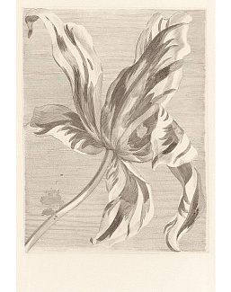 Панно и фотообои Eijffinger Wallpower Favourites 309032
