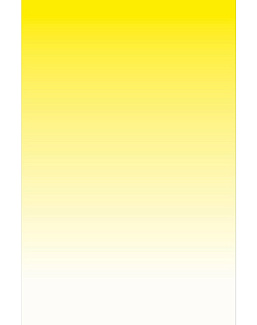 Панно и фотообои Bien Fait Papier Peint Sunset/Citron