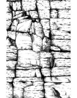 Панно и фотообои Bien Fait Papier Peint TheCave