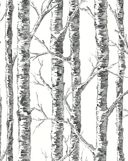 Обои York Black & White Resource Library BW3902