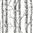 Обои York Black & White Resource Library BW3902