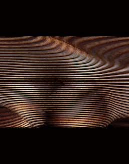 Панно и фотообои Muance Edition 3 (Amber) MU13085