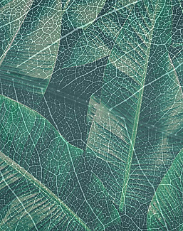 Панно и фотообои Gemini Designer murals collection KT349M-A