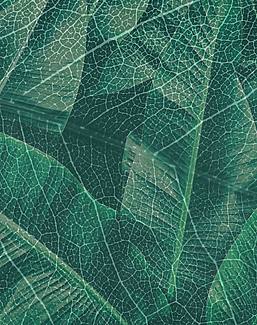 Панно и фотообои Gemini Designer murals collection KT349M-B