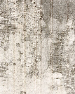 Панно и фотообои Gemini Designer murals collection KT226M-E