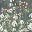 Обои Wall Street Botanica 21842