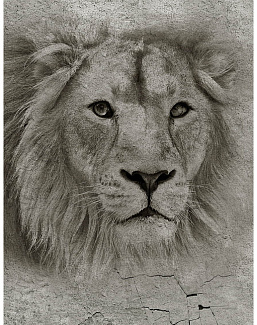 Панно и фотообои Wall Street podLOFT 19617
