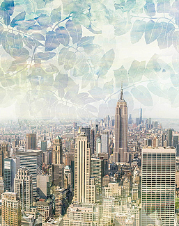 Обои Wall Street Urban 18440