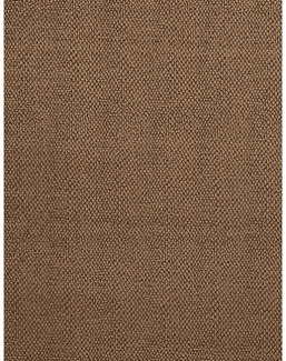 Ткань Fabricut Color Studio Vol.VII Copper Sesame/Copper