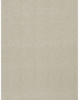 Ткань Fabricut Color Studio Vol.VII Oyster Sesame/Canvas