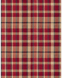 Ткань Fabricut Color Studio Vol.VIII Vermillion Calais plaid/Redwood
