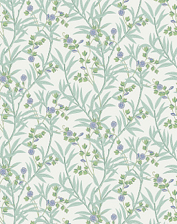 Обои Little Greene National Trust Papers IV 0267BAMAMBO