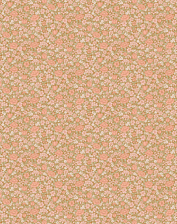 Обои Little Greene National Trust Papers IV 0267SPBOMBO
