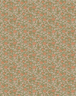 Обои Little Greene National Trust Papers IV 0267SPGARDE