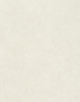 Обои Rasch Wall Textures XL Vol3 957327