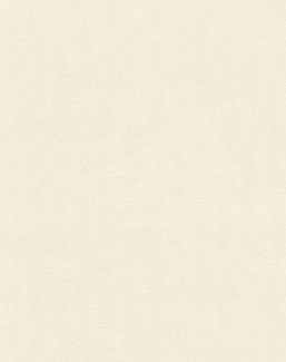 Обои Rasch Wall Textures XL Vol3 965001