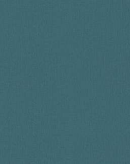 Обои Rasch Wall Textures XL Vol3 975611