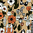 Обои Jannelli & Volpi Marimekko 6 25165