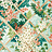 Обои Clarke & Clarke Secret Garden W0195/03