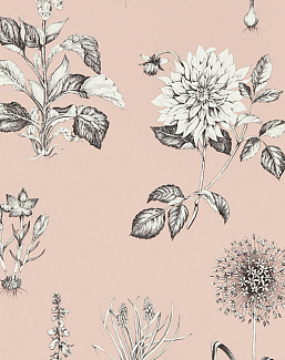 Обои Clarke & Clarke Secret Garden W0197/01