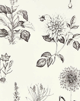 Обои Clarke & Clarke Secret Garden W0197/02