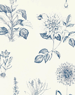 Обои Clarke & Clarke Secret Garden W0197/03