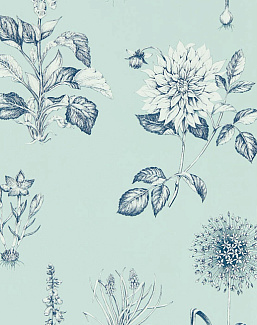 Обои Clarke & Clarke Secret Garden W0197/04