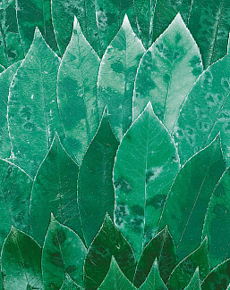 Панно и фотообои Casamance Oxymore 3 77832219