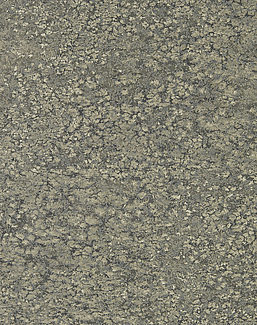Обои Zoffany Kempshott 312642