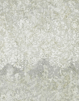 Обои Zoffany Kempshott 312652