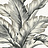 Обои Seabrook Coastal Heaven by Lillian August LN45600