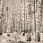 Обои Coordonne Random Papers issue 6500202