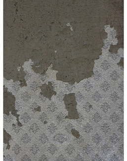 Обои Coordonne Random Papers issue 6500313