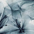 Обои Coordonne Random Papers issue 6800411