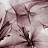 Обои Coordonne Random Papers issue 6800412