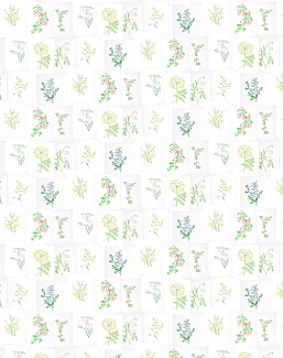 Обои Coordonne Random Papers issue 7800994
