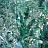 Обои Coordonne Random Papers issue 8000056