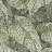 Обои Rasch Amara 720549