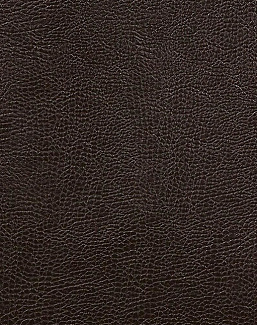 Ткань Designers Guild Kalahari FDG2167/34