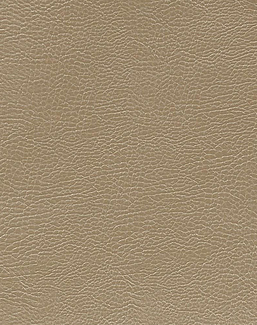 Ткань Designers Guild Kalahari FDG2167/36