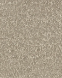 Ткань Designers Guild Kalahari FDG2167/37