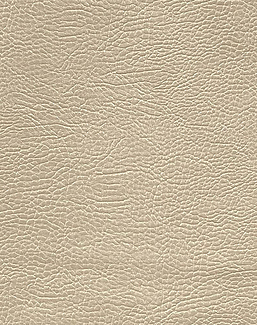 Ткань Designers Guild Kalahari FDG2167/38