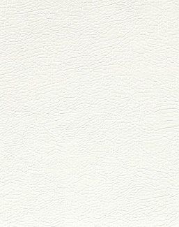 Ткань Designers Guild Kalahari FDG2167/41