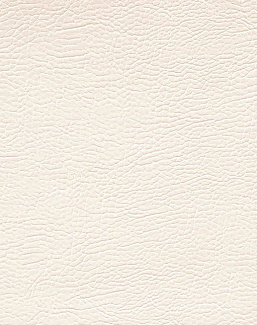 Ткань Designers Guild Kalahari FDG2167/43