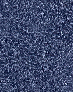 Ткань Designers Guild Kalahari FDG2167/11