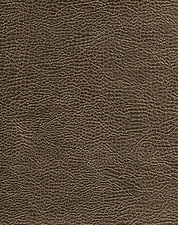 Ткань Designers Guild Kalahari FDG2168/06