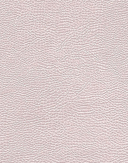 Ткань Designers Guild Kalahari FDG2168/08