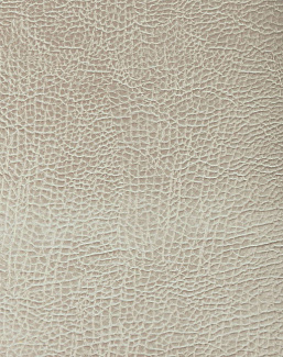 Ткань Designers Guild Kalahari FDG2168/09