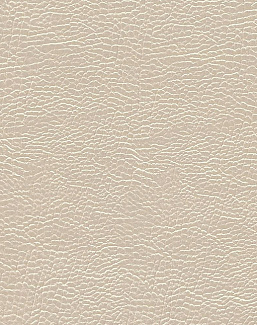 Ткань Designers Guild Kalahari FDG2168/12